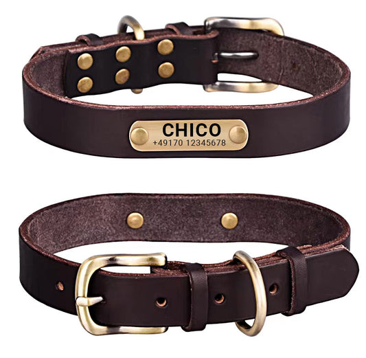 Echtleder Hundehalsband mit Messingschnalle und Gratis Gravur