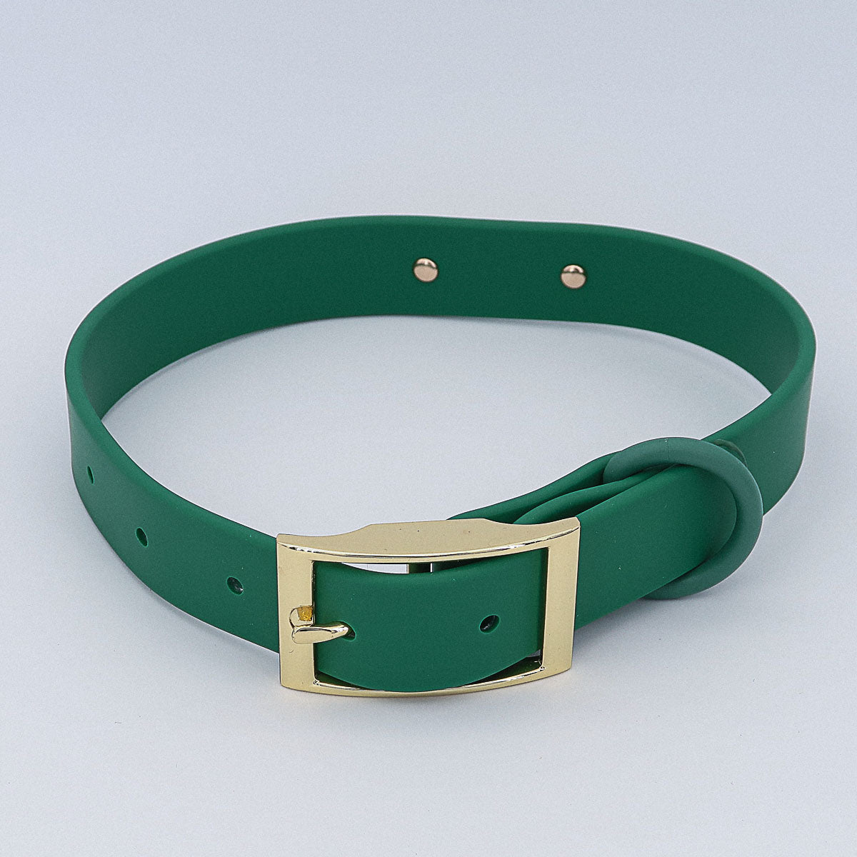 Wasserfestes Biothane Hundehalsband mit Gravur Name und Telefon