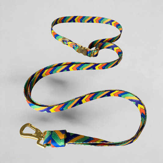 Hands Free Hundeleine Festival Komfortables Design mit Goldakzenten