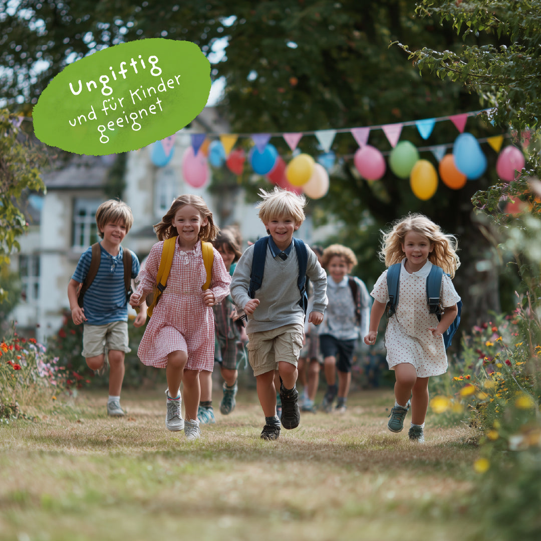 5 bunte Blumenmurmeln im Tütchen zur Einschulung Du bist 1. Klasse-Die Stadtgärtner