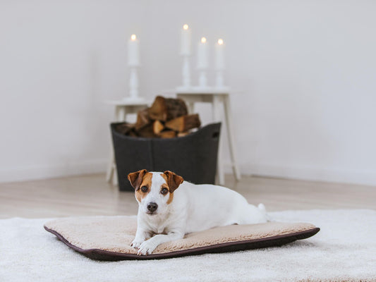 Hundematte Hygge Pad mit Teddyfell und Anti-Rutsch Beschichtung-SABRO GmbH