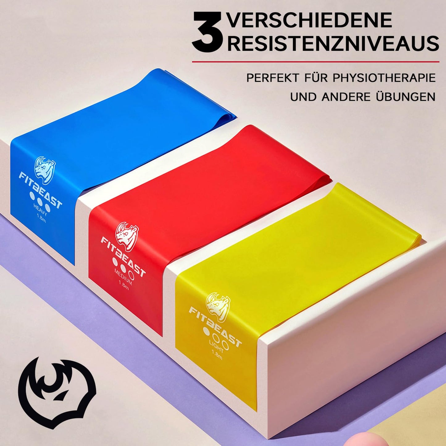 FitBeast Fitnessbaender 3er Set 2 Meter mit Tragetasche und Trainingsposter