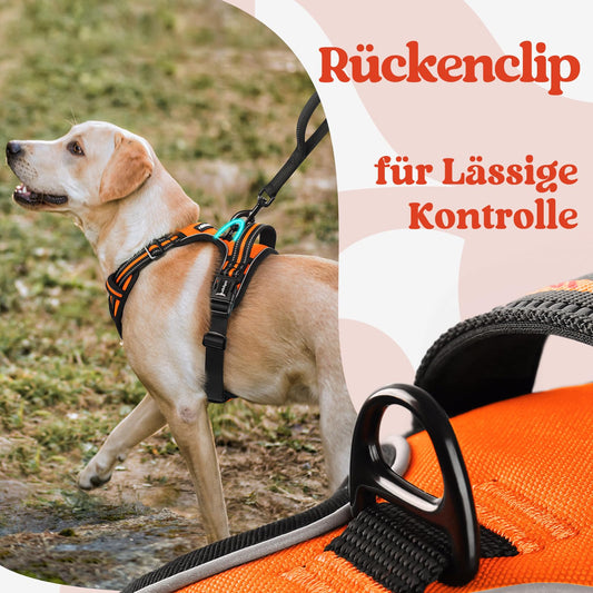 rabbitgoo Hundegeschirr Grosse Hunde, Verstellbare Geschirr Hund ohne Zug & Würgen, Anti Zug Hundegeschirr mit Griff, weich Gepolsterte Reflektierende Brustgeschirr, Orange L
