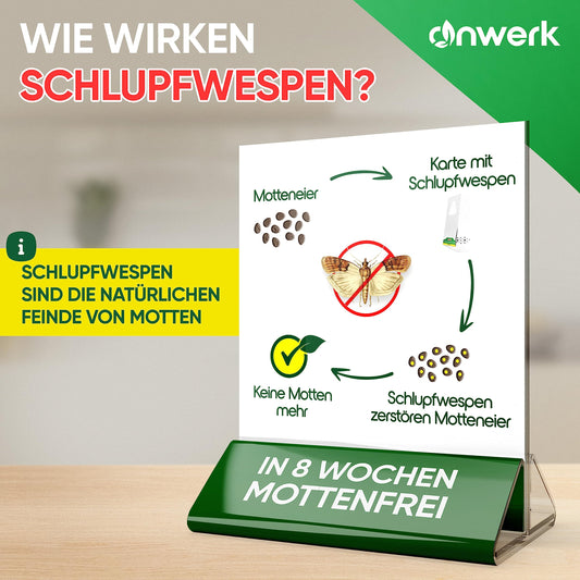 anwerk® Schlupfwespen gegen Lebensmittelmotten - 100 Karten (25 Karten à 4 Lieferungen) - Effektiv Lebensmittel Motten bekämpfen - Alternative zur Mottenfalle, Mottenspray, Pheromonfalle