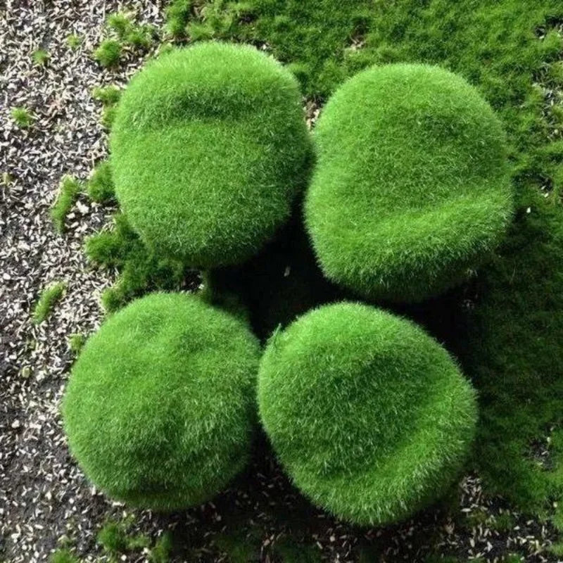 10 Stücke Künstliche Moossteine für Garten und Blumentopfdeko