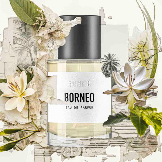 Borneo Unisex Eau de Parfum mit blumig orientalischem Duft 50ml-sober
