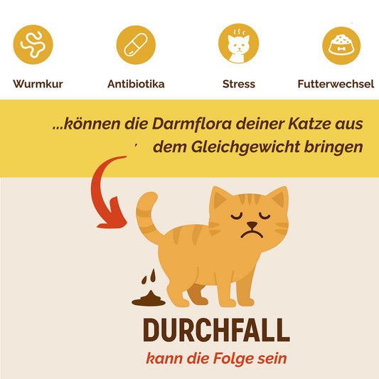 Darmpulver Katze - Durchfall und Erbrechen Katze -Darmflora Katze aufbauen
