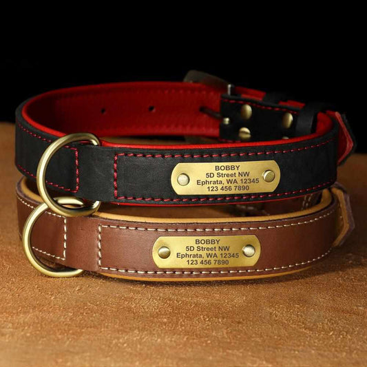 Exklusives Leder Hundehalsband mit Namen und Telefon graviert
