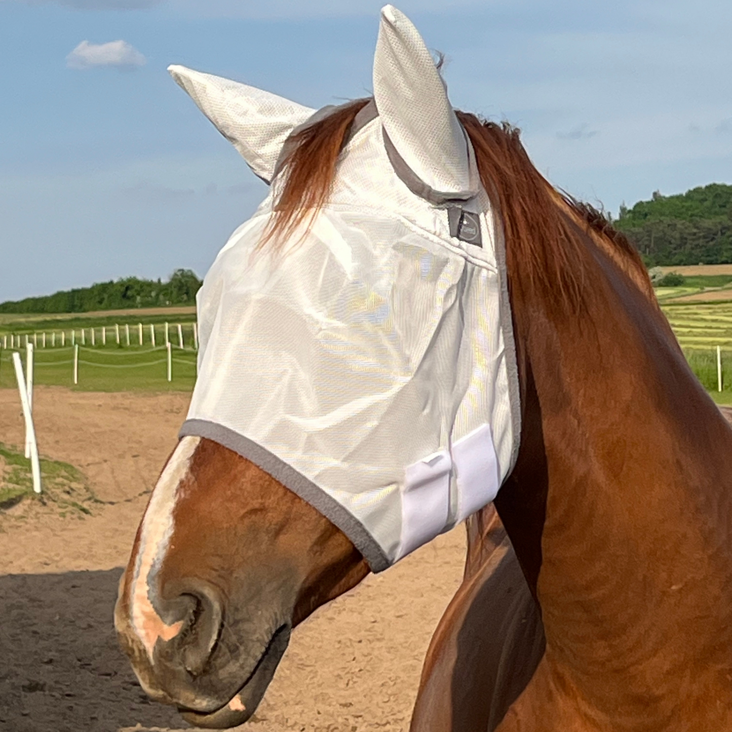 Fliegenmaske Fliegenohren Fliegenschutz für Pferde