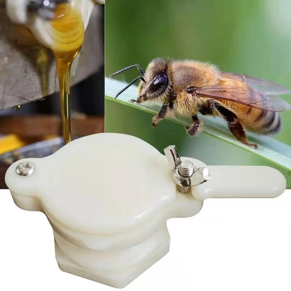 Langlebiges Bienenhonig-Ventil für einfache Honigabfüllung