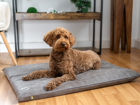 Orthopädische Hundeliegematte JOKKMOKK mit veganem Wildlederbezug-SABRO GmbH
