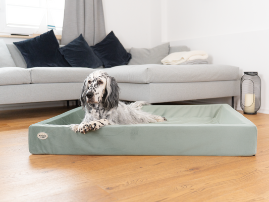 Orthopädisches Hundebett mit Samtbezug für maximalen Komfort-SABRO GmbH