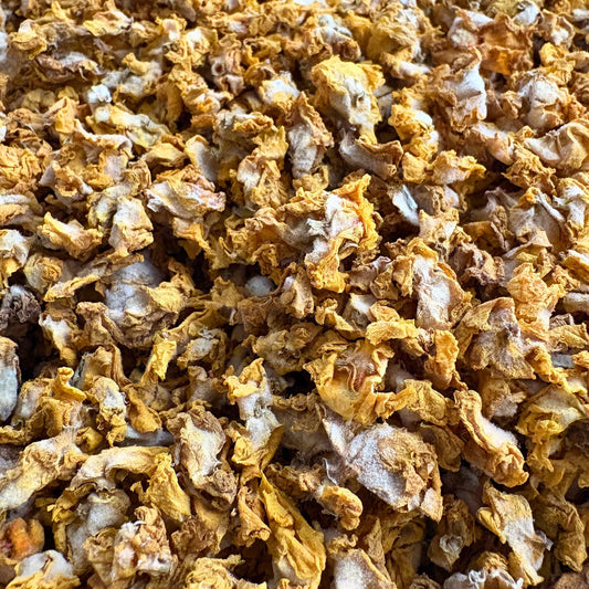 Königskerzenblüten Pferd 500g