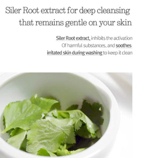 Pyunkang Yul Cleansing Foam Gesichtsreinigung 150 ml