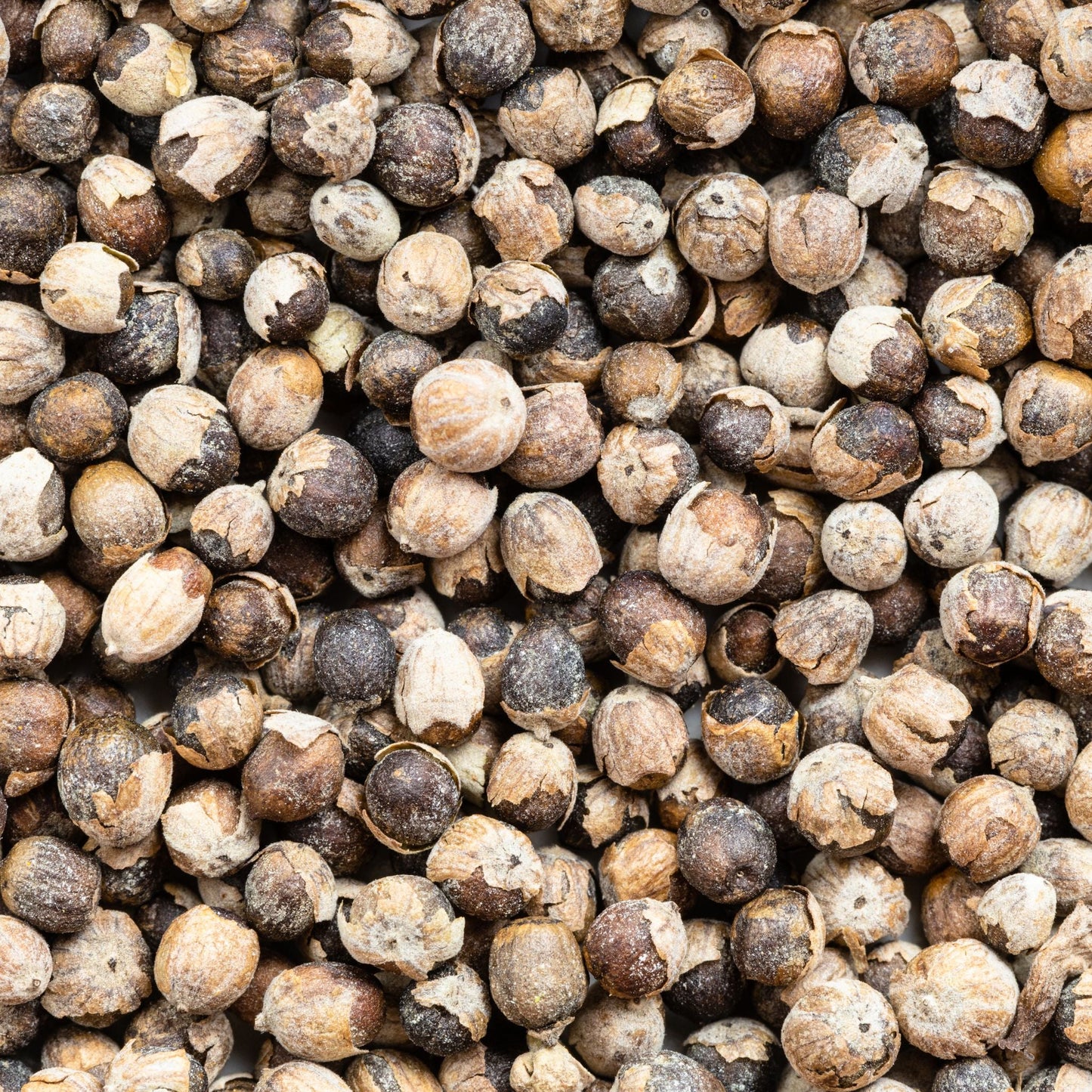 Natürlicher Mönchspfeffer für Pferde 1kg zur Unterstützung bei hormonellen Dysbalancen