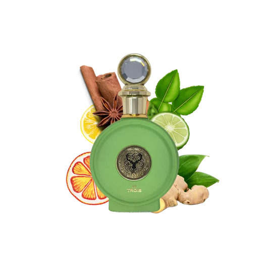 North Stag Trois Expressions Eau de Parfum Herren Duft 100ml-Luxus Aroma