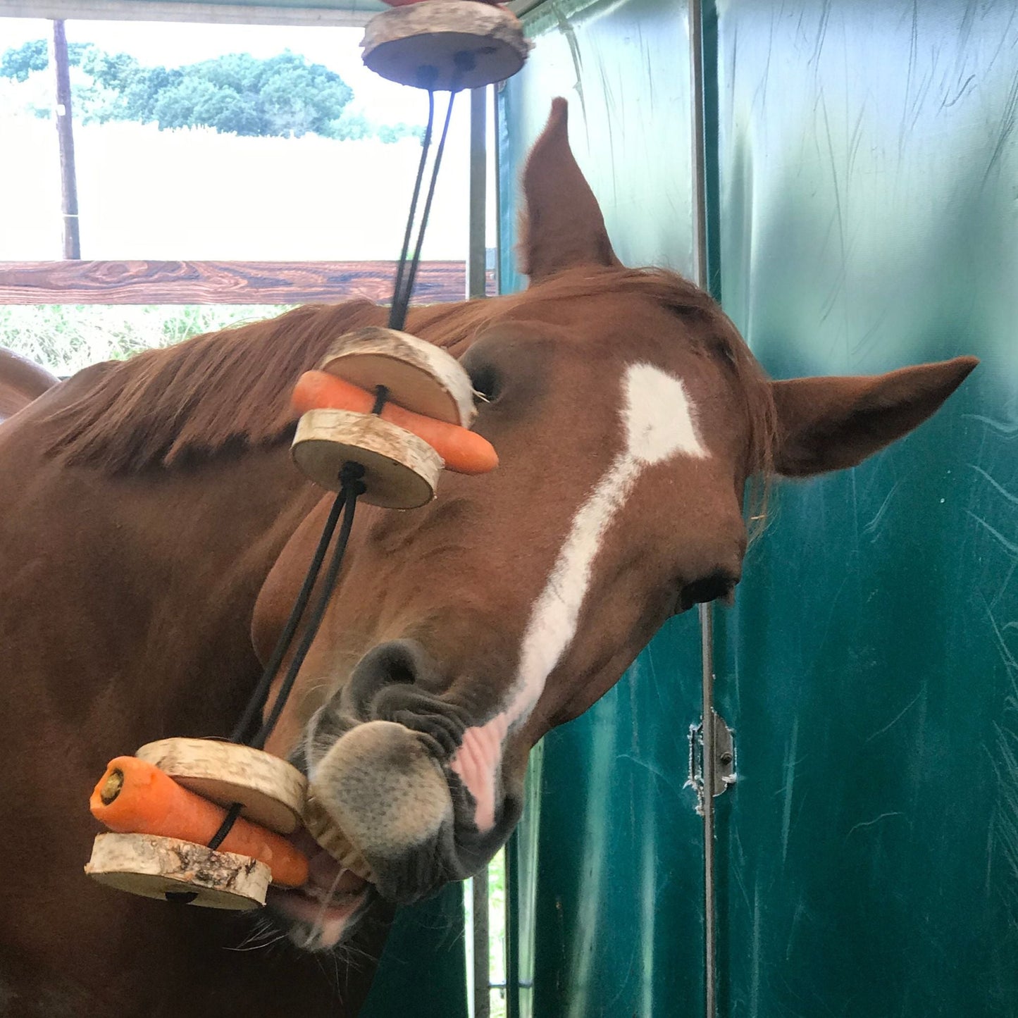 Pferdespielzeug Möhren-Tarzan – Spielzeug für Pferde gegen Langeweile – Pferdebeschäftigung