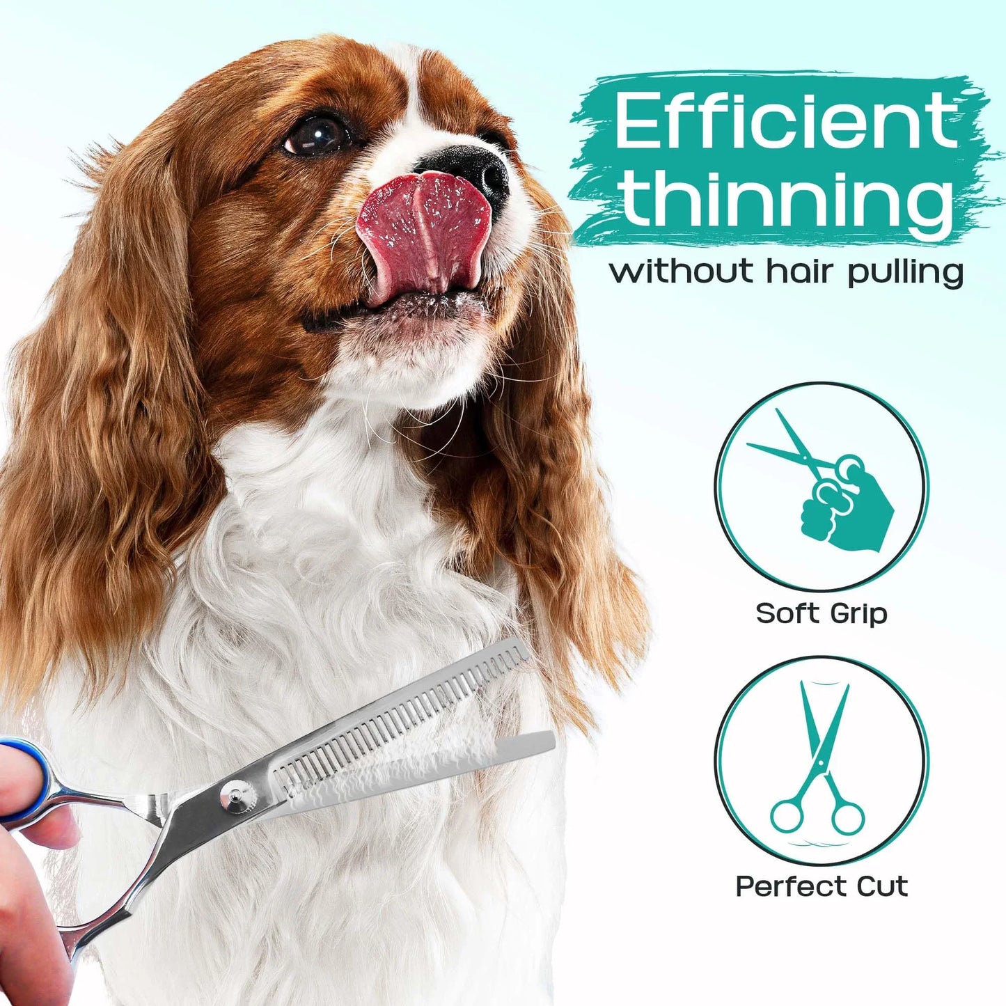 5-in-1 Fellscheren Set mit Sicherer Spitze für Hunde und Katzen Pflege