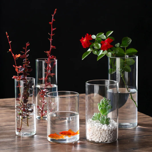 Transparente Glas-Hydrokulturvase Zylinderform für Blumen und Deko