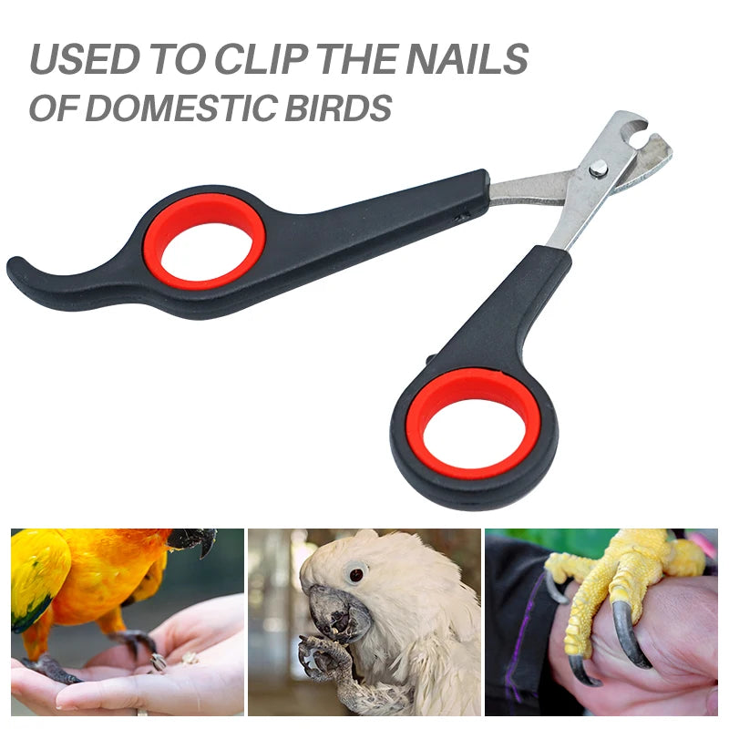 Nagelknipser für Haustiere Edelstahl Schere für Hunde Katzen Vögel