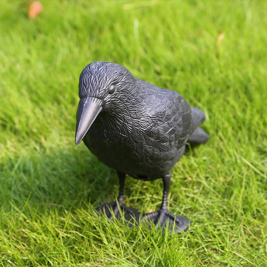 Natürlicher Vogelschutz: Realistische schwarze Krähe, wetterfest - vielseitig, 35 cm