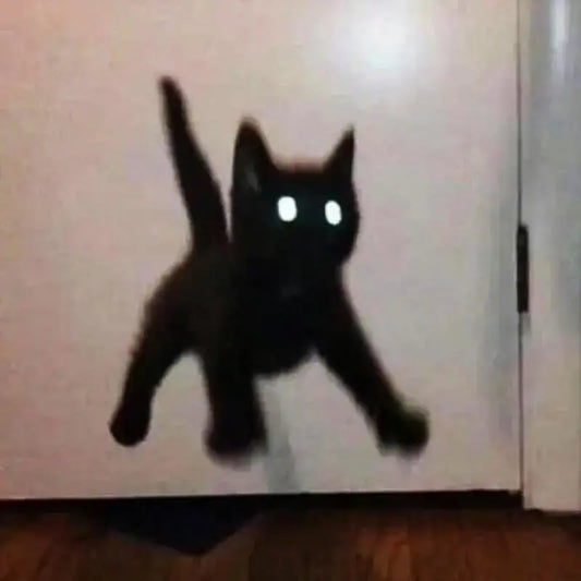 Unisex Edelstahl Halskette mit 3D schwarzer Katzen Anhänger modisch