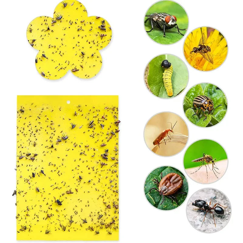 Effektive gelbe Insektenfallen 2/5/10 Stück – wasserdicht - ungiftig schützt Pflanzen