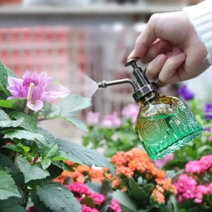 Vintage Pflanzensprühflasche aus Glas mit Kunststoffdüse für Topfpflanzen