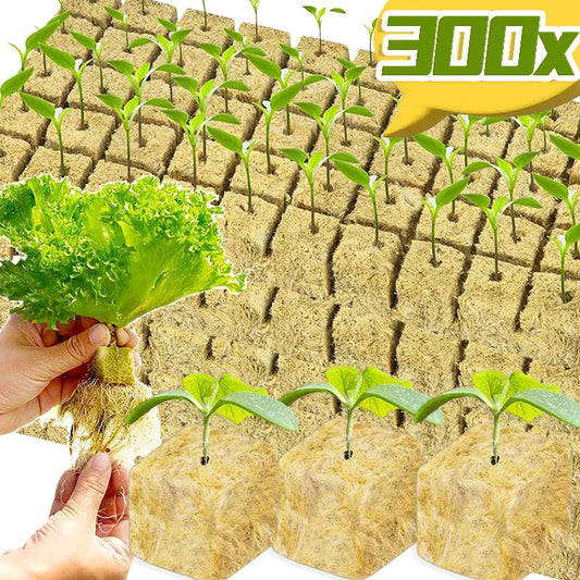 Effektive Steinwolle-Pflanzenwürfel für gesundes Wachstum