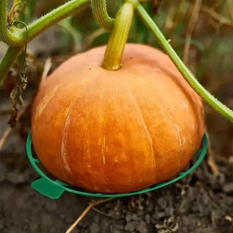 Robustes Anti-Rotten Melonen- - Obsttablett aus Kunststoff – Schutz für Gartenfrüchte
