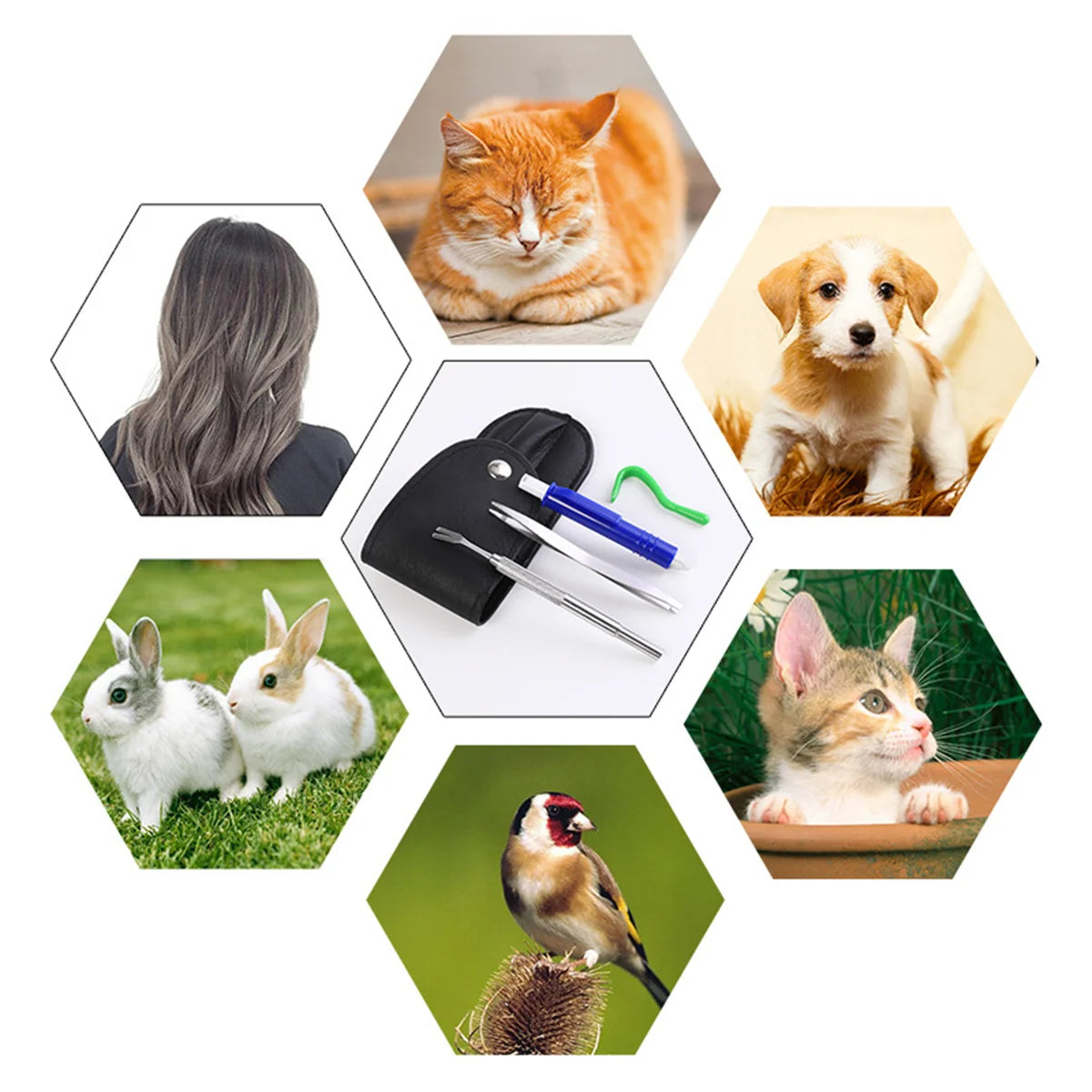 Sicher - sanft: 3-teiliges Zecken- und Flohentferner-Set für Hunde - Katzen