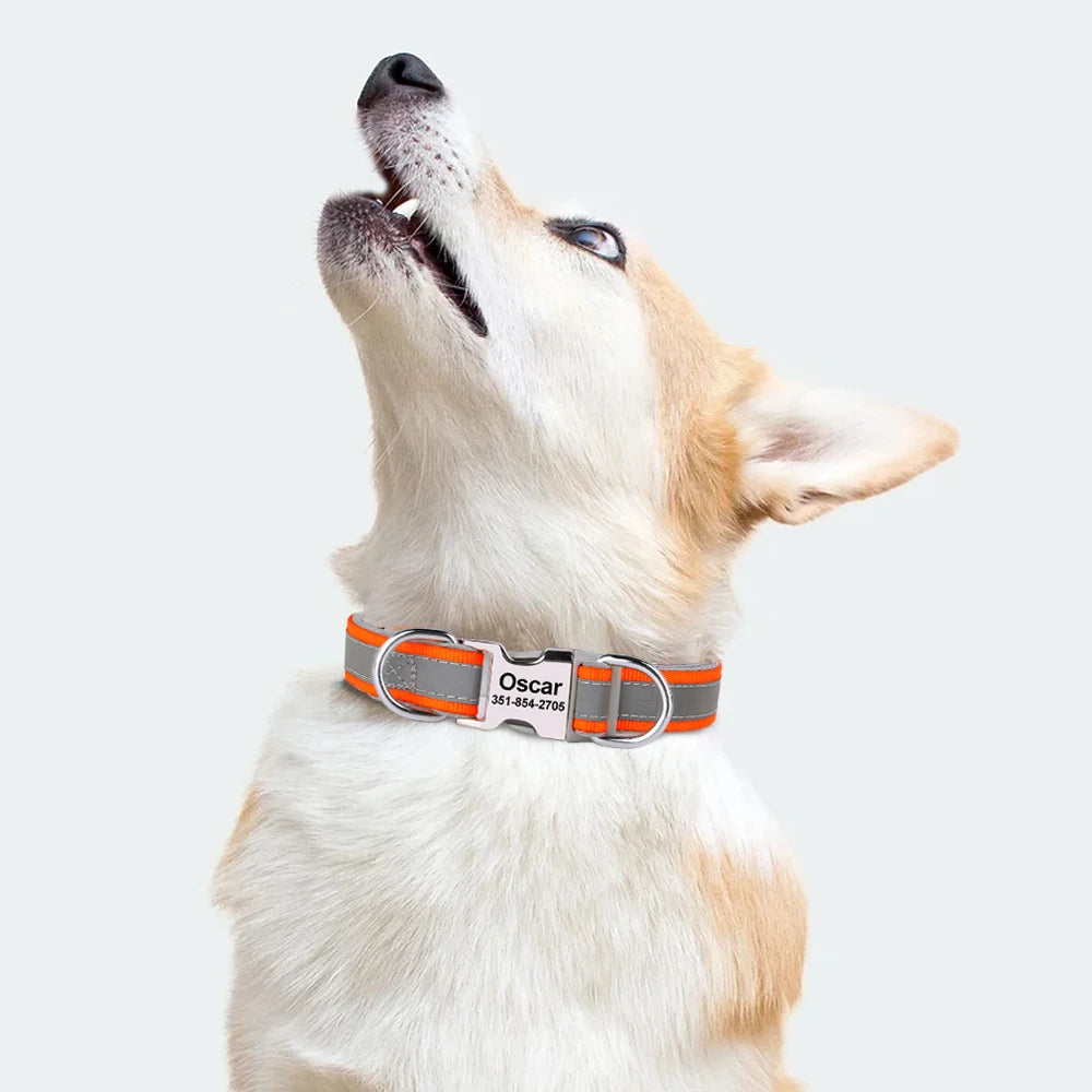 Reflektierendes Hundehalsband mit graviertem ID-Tag, verstellbar für alle Größen