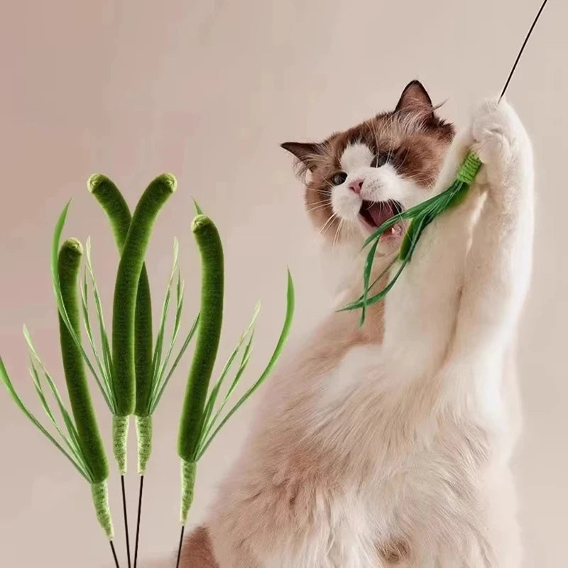 Bissfester Katzen-Teaser Zauberstab mit Federn für interaktives Spiel