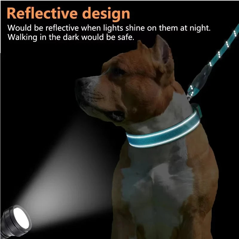 Reflektierendes Hundehalsband mit personalisierbarer ID-Schnalle, verstellbar