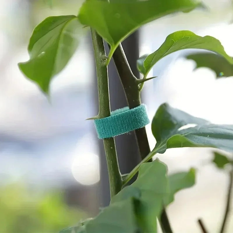 Flexibel - Nachhaltig: 2m grüner Nylon-Kabelbinder mit verstellbaren Hakenschlaufen