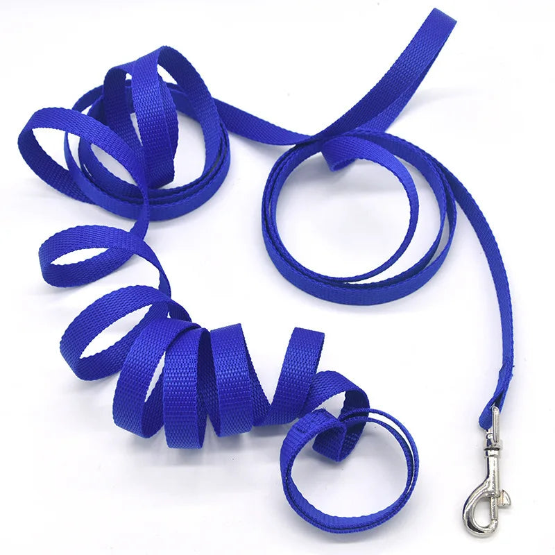 Überlange Nylon Hundeleine 1,2 bis 30 m für sicheres Outdoor Training