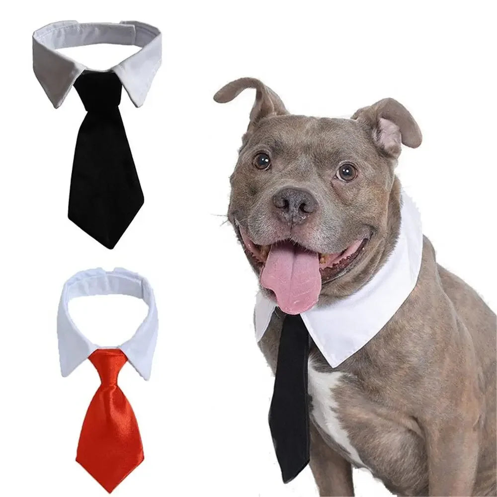 Baumwoll-Haustierkrawatte für Hunde - Katzen – Verstellbar - Elegant