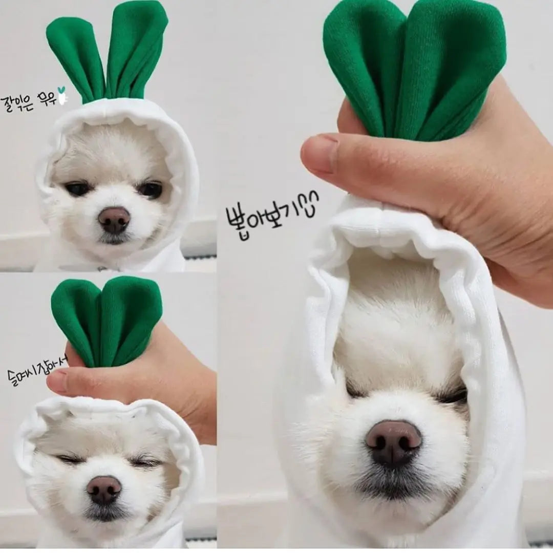 Niedlicher Obst Fleece Hoodie für kleine Hunde und Katzen Welpen
