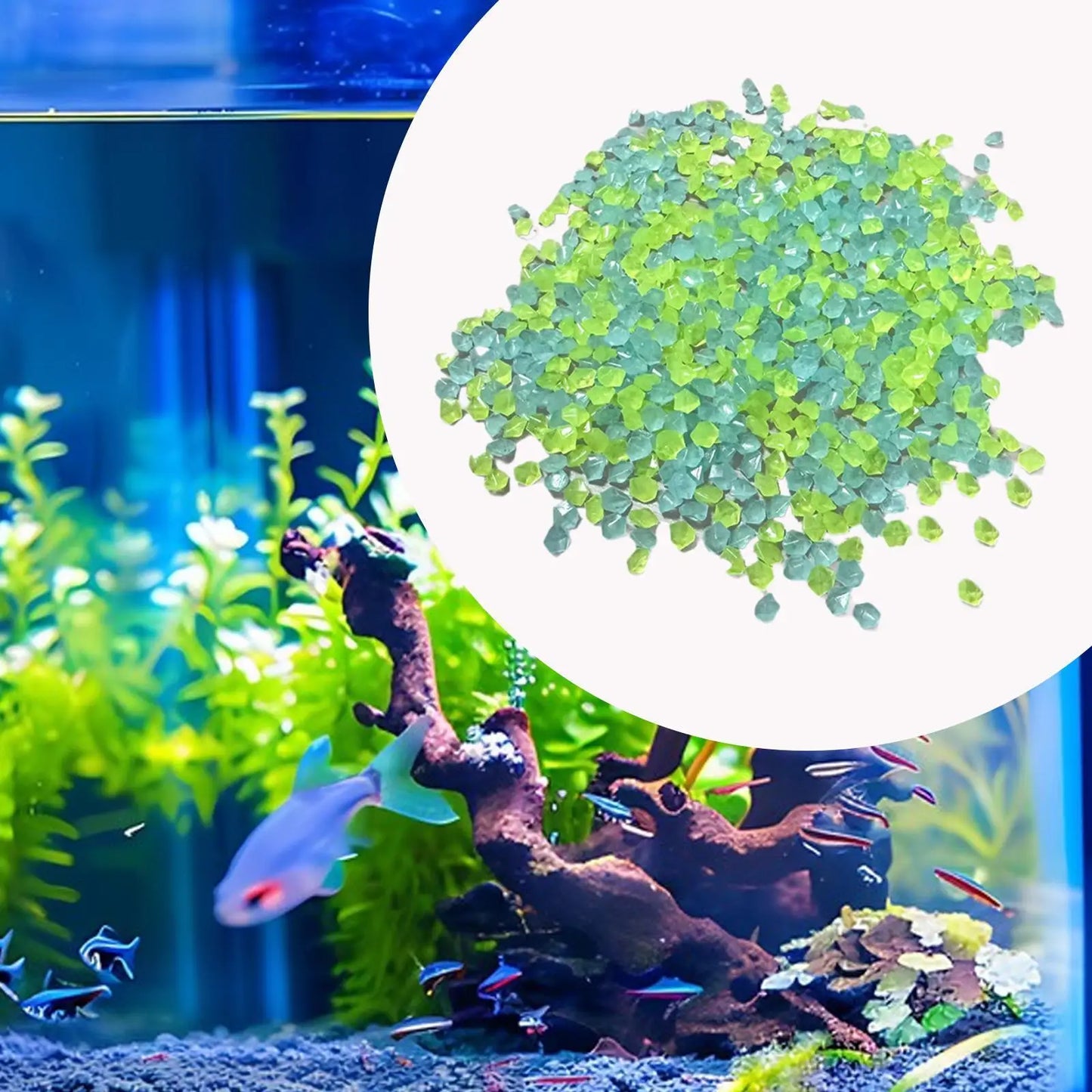 Leuchtender Kies für kreative Dekoration im Garten und Aquarium