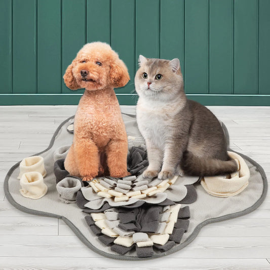 Interaktive Schnüffelmatte für Hunde mit Quietscher und Leckerlisuche