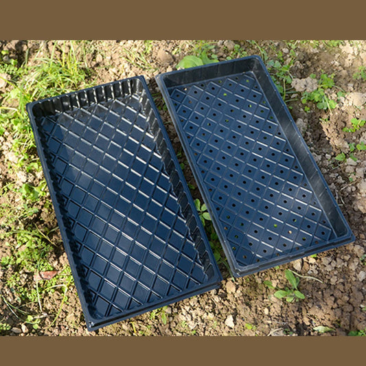 6er Set Pflanzentabletts für Sukkulenten und Pflanzenanzucht schwarz