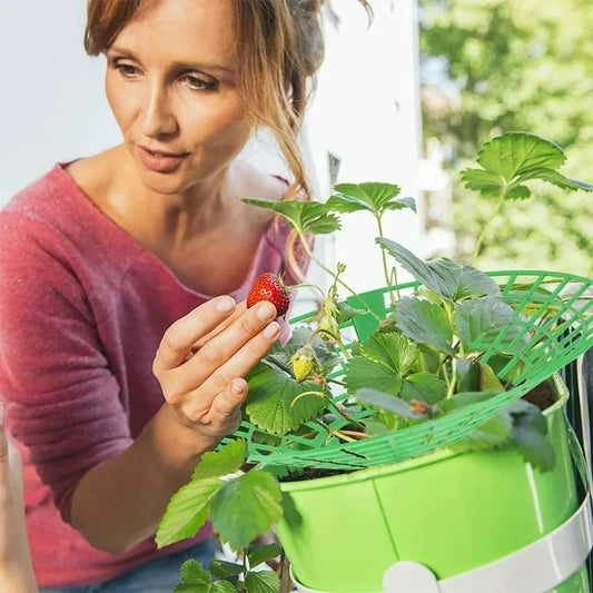 Erdbeerstützen Pflanzenhalter Obstständer Gemüse Racks – 5/20 Stück wählbar