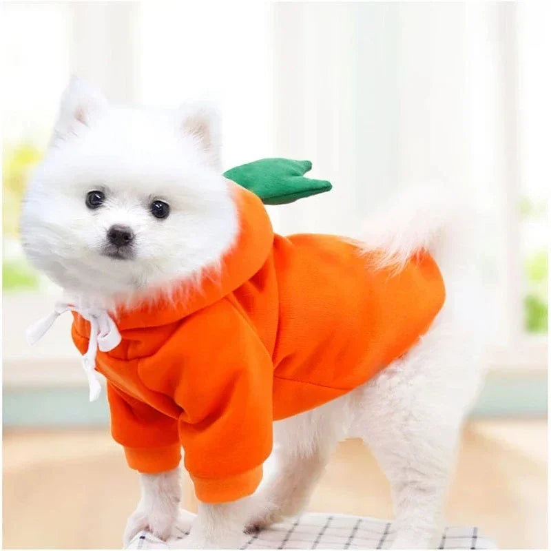 Niedlicher Obst Fleece Hoodie für kleine Hunde und Katzen Welpen