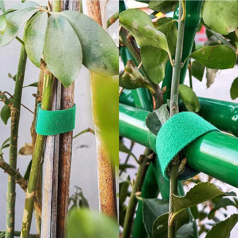 Nylon Pflanzenbänder 3 Rollen 2m flexibel für Gartensupport