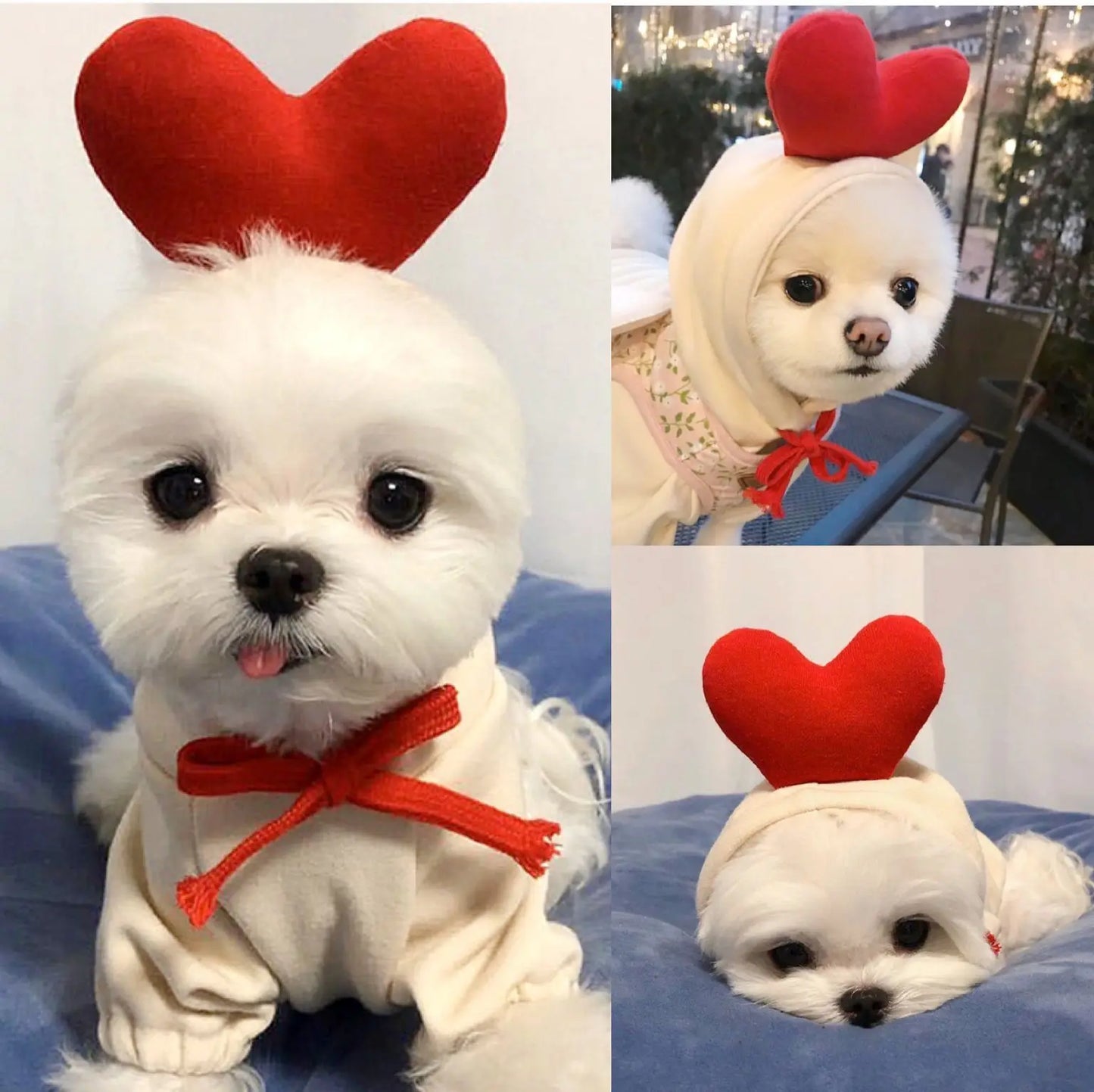 Niedlicher Obst Fleece Hoodie für kleine Hunde und Katzen Welpen