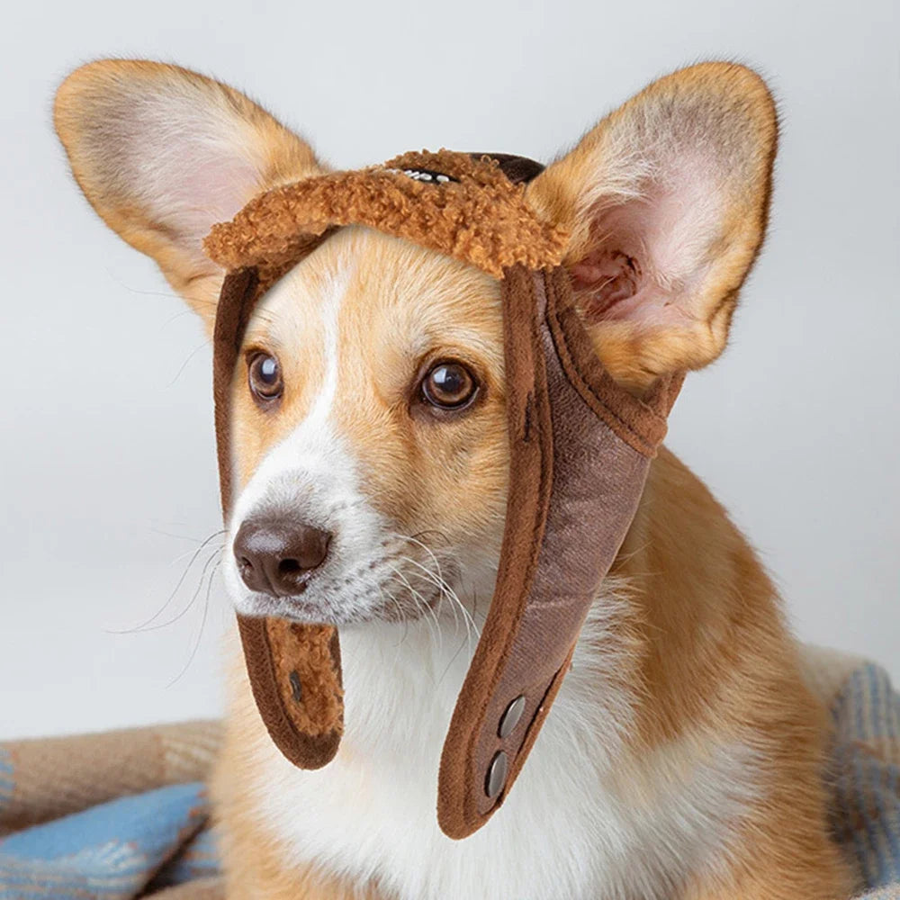 Warme Hundemütze Pilotenhelm PU Winddicht Für Kleine Große Hunde Welpen
