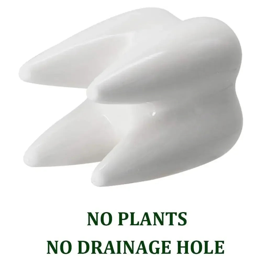 Charmante Dekoration: Einzigartiger Zahn-Blumentopf für Ihre Pflanzen