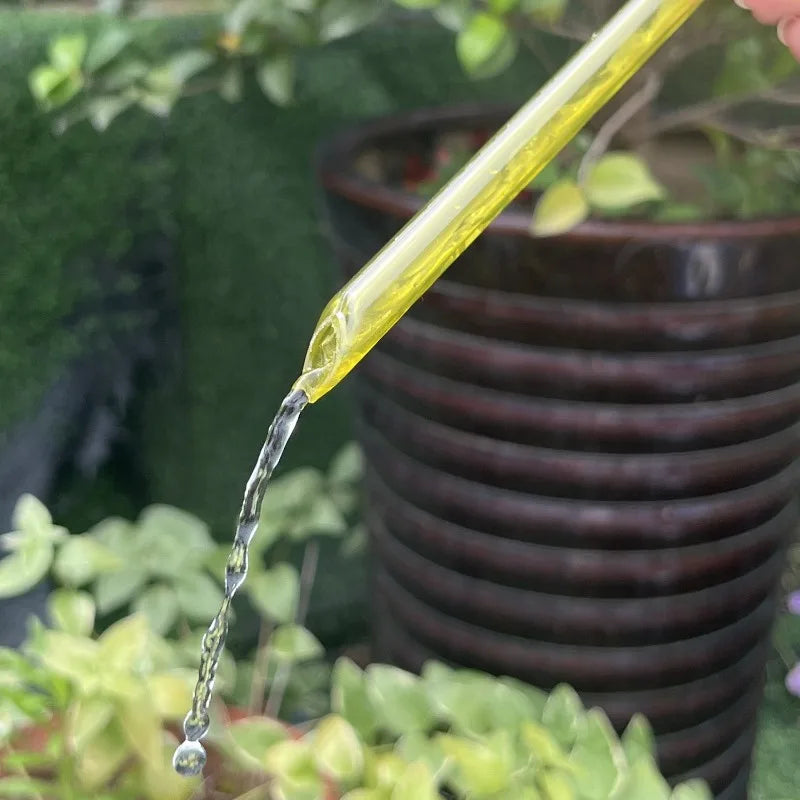 Automatischer Pflanzenwasser-Futterspender für Zuhause und Garten