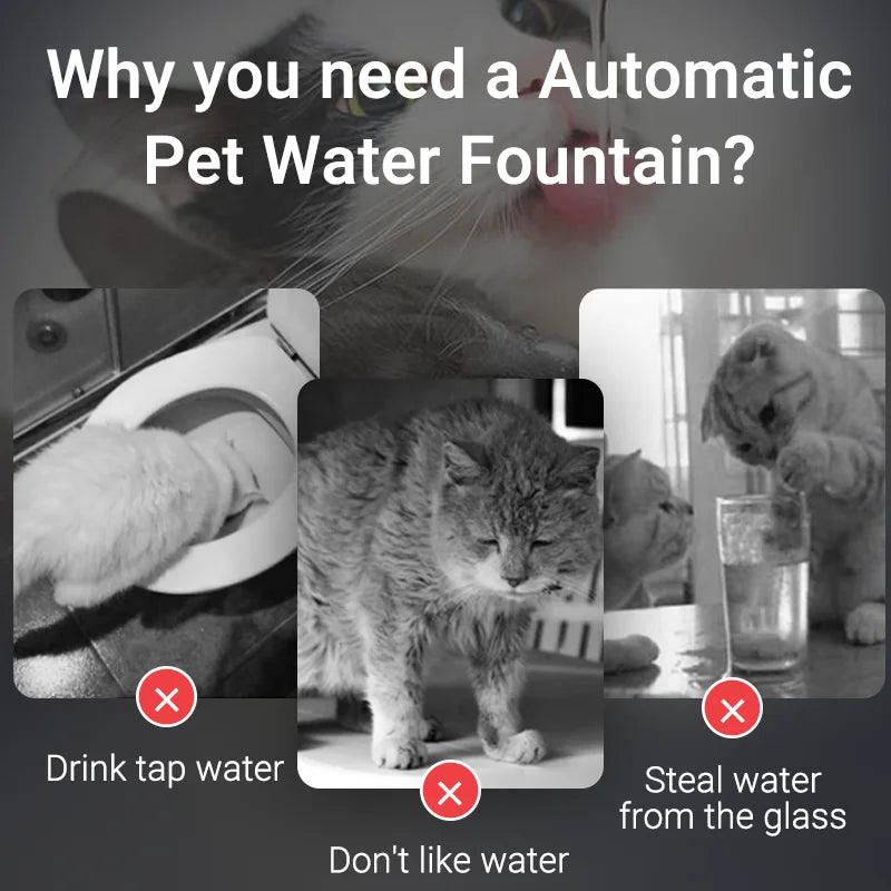 Frisches Trinkwasser garantiert: Leiser 1,5L Katzen- - Hunde-Wasserbrunnen mit Filter