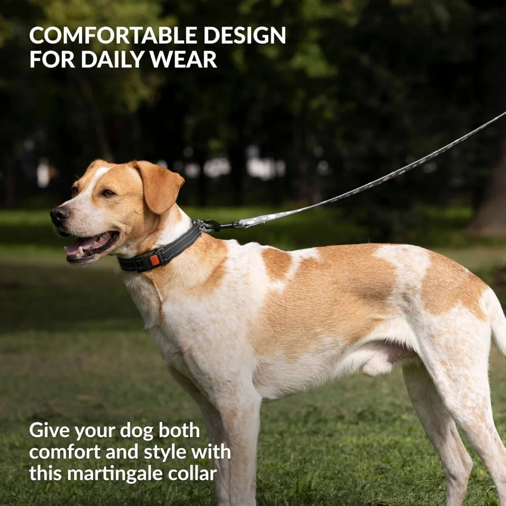 Edelstahl Hundehalsband mit reflektierendem Nylon für kleine bis große Hunde